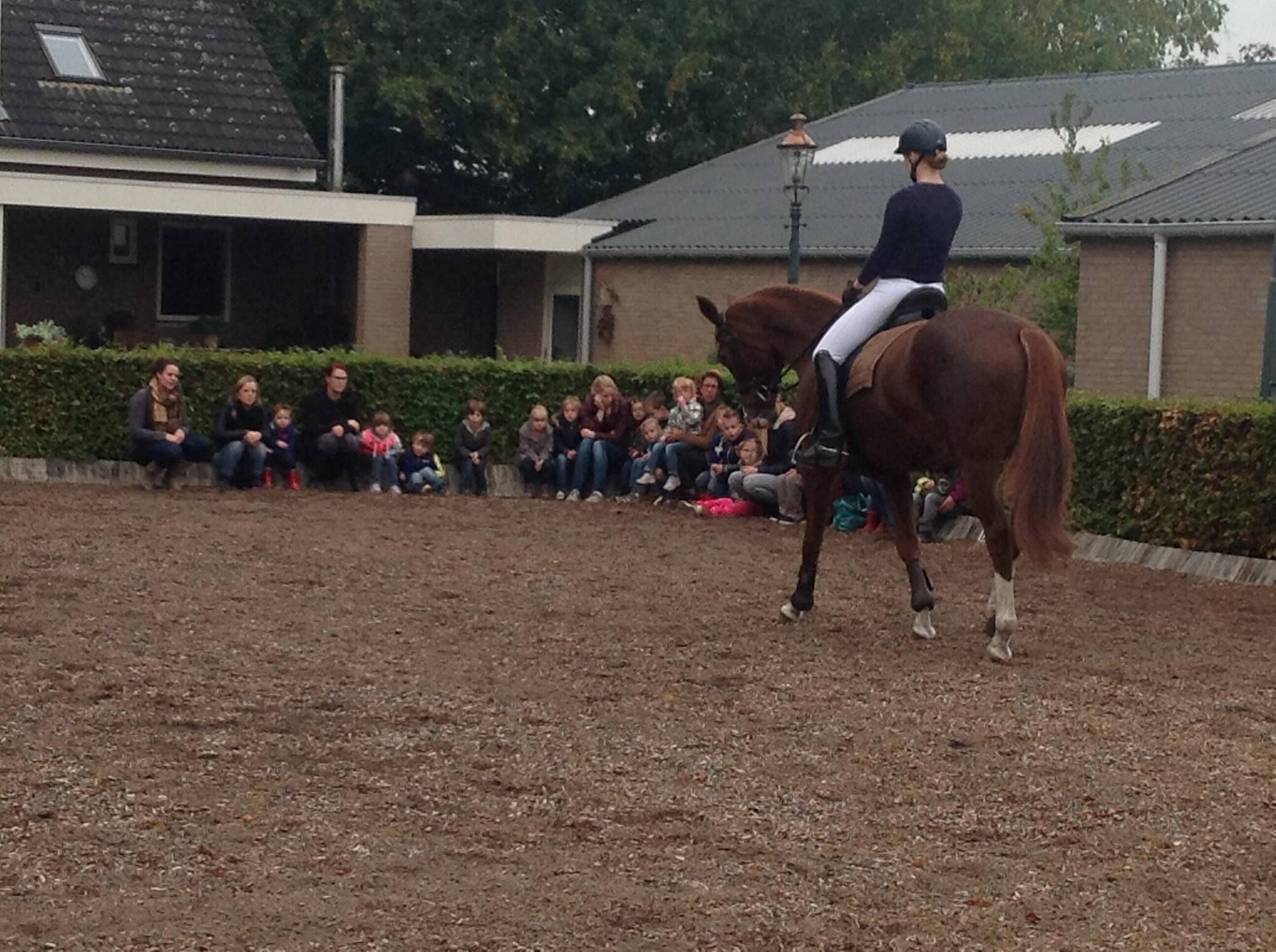 1265676_664748443550067_1868021400_o