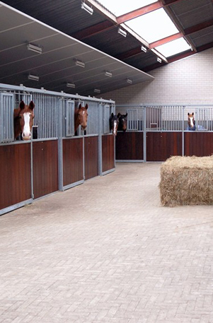 paard-hotel-vakantie-ekenrode