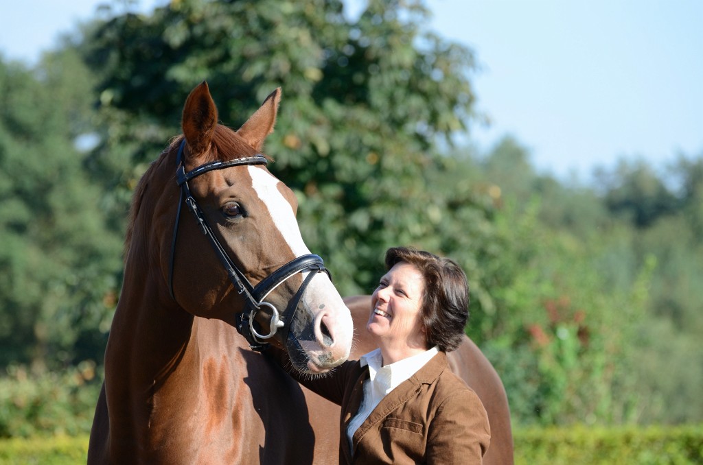 paardenhotel_16 paardenhotel_16