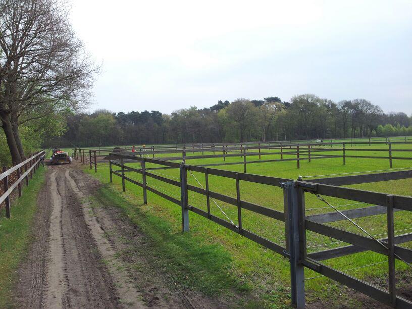 262335_589028854455360_1163745005_n