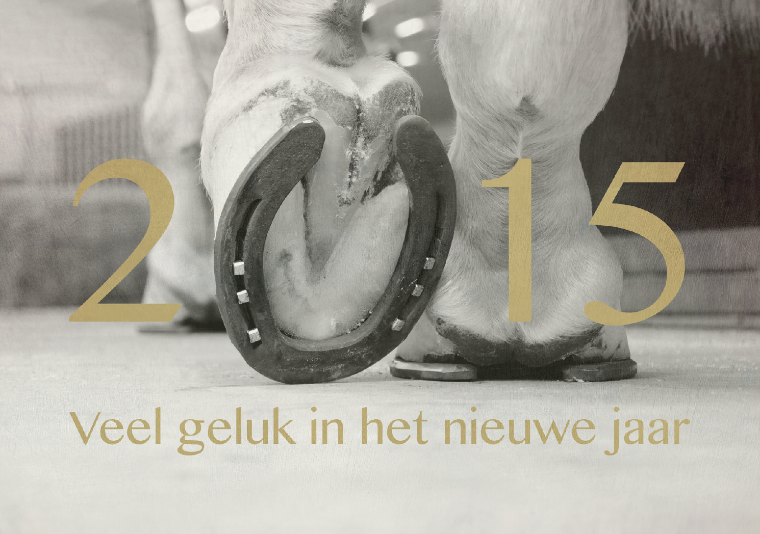 Veel geluk in het nieuwe jaar